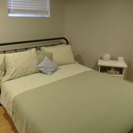 Fantastic And Modern Downtown 1-Bed Basement Apt., Parking Wi-Fi And Netflix Included Ottawa Ngoại thất bức ảnh